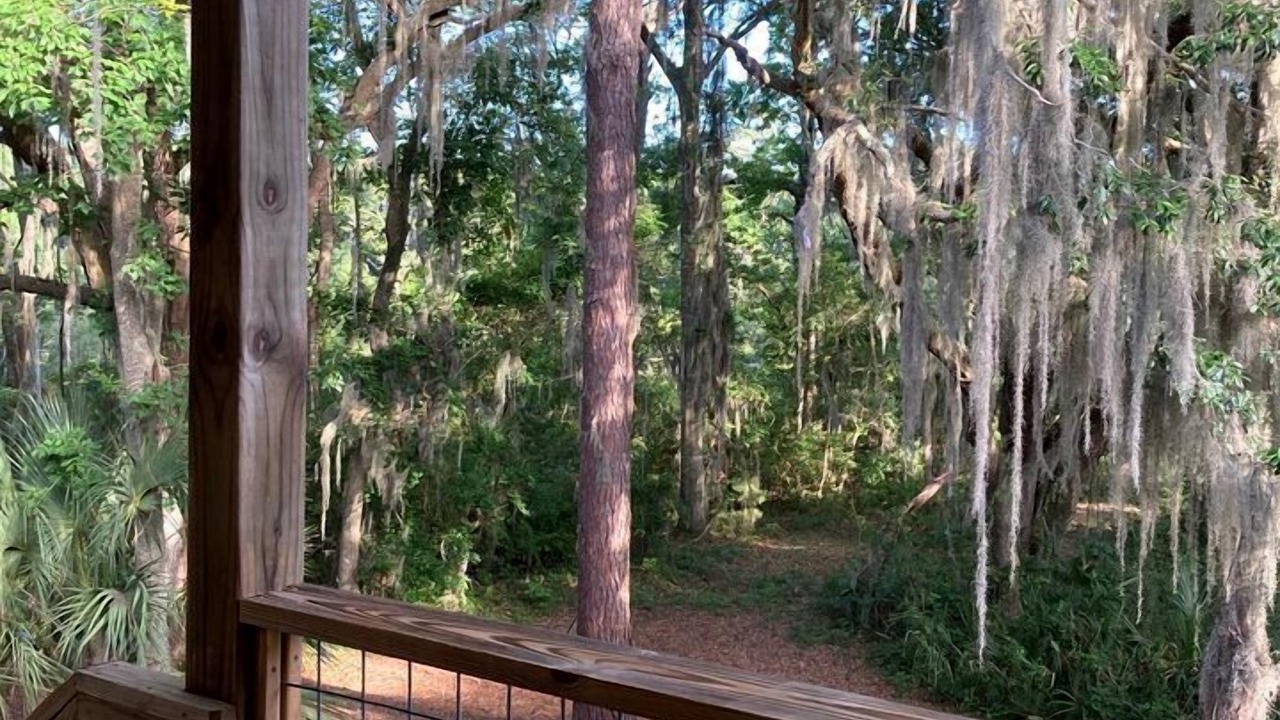 Photo of Outdoor in Midway