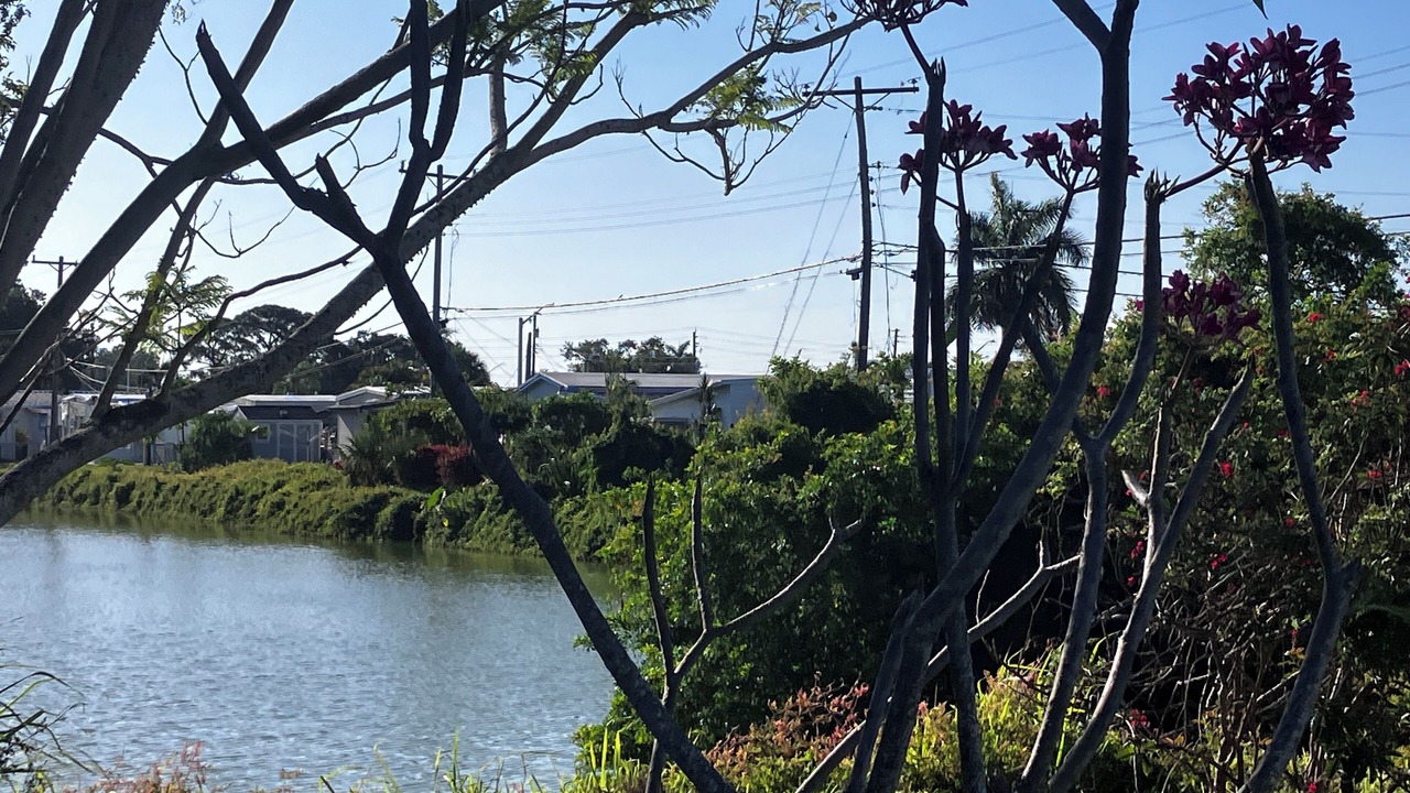 Photo of Others in South Bradenton