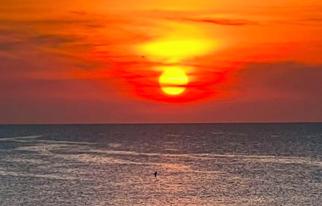 Photo of Others in Melbourne Beach