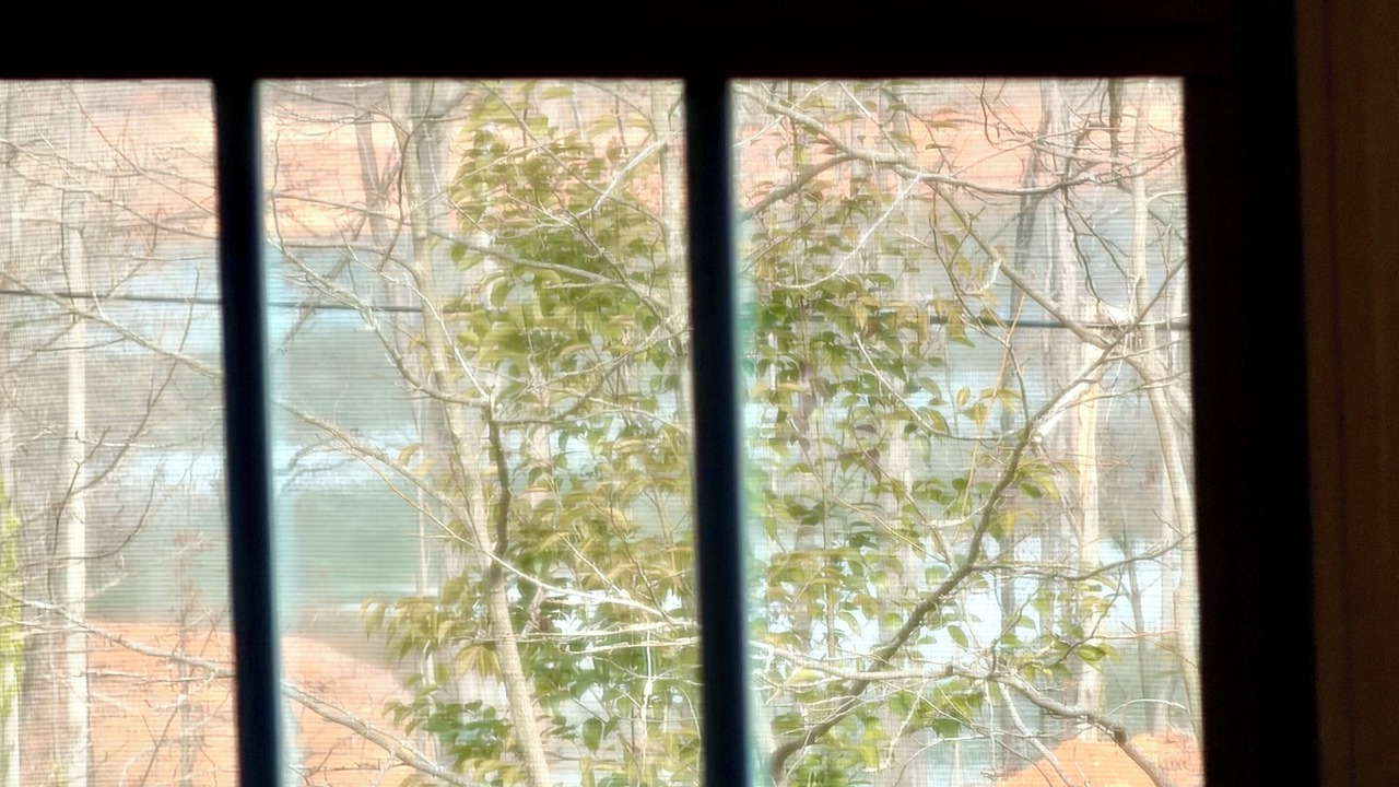 Photo of Others in Anderson