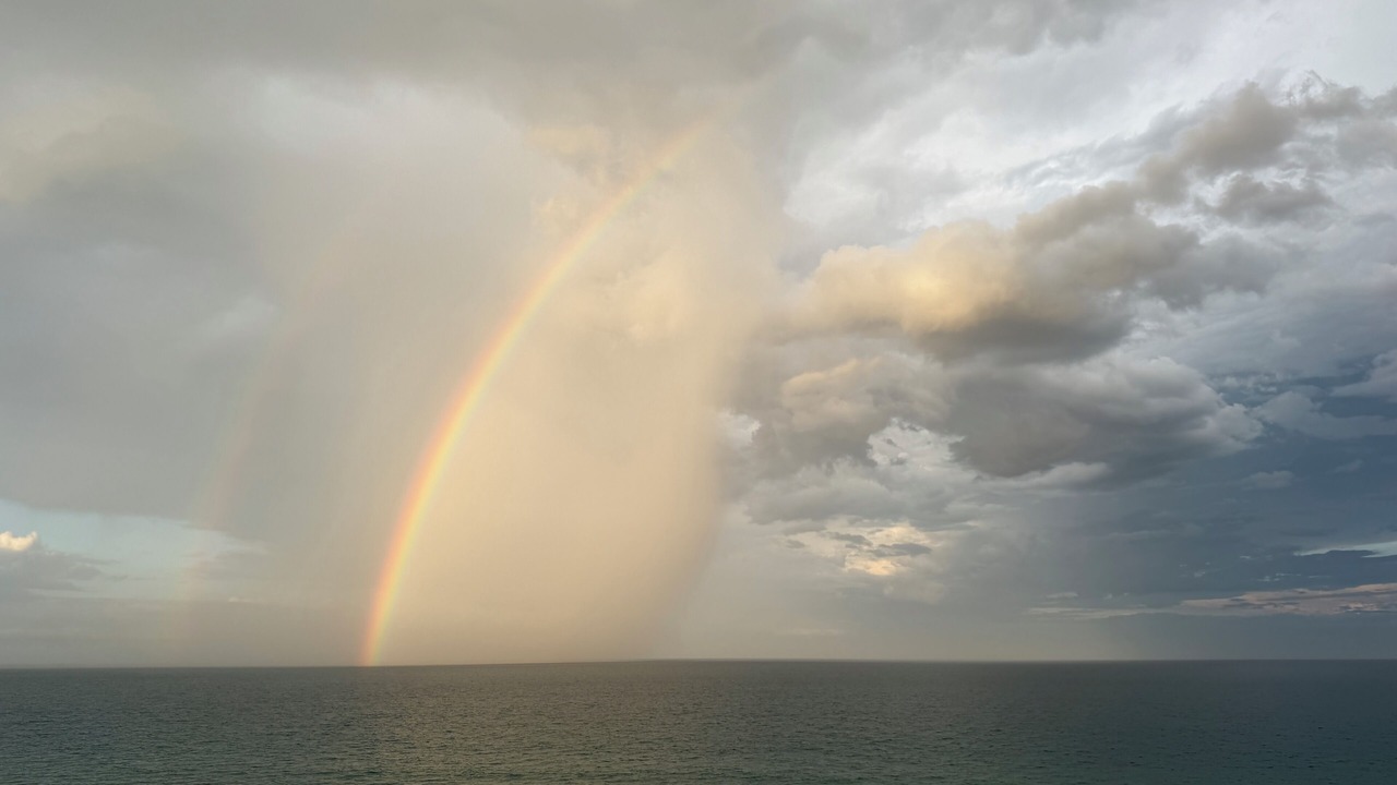 Photo of Others in Hutchinson Island South