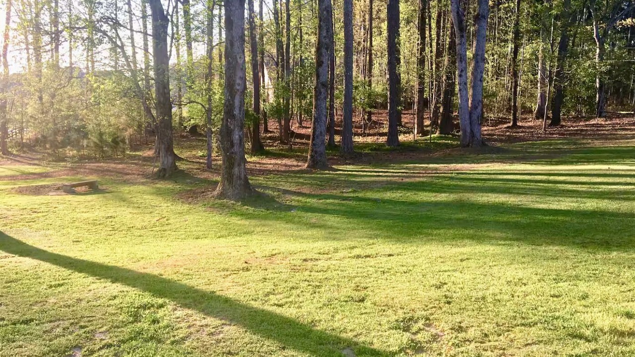 Photo of Others in Dacula