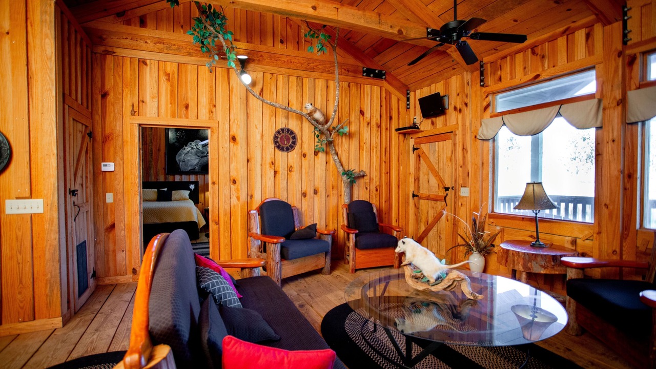Photo of Livingroom in Swainsboro