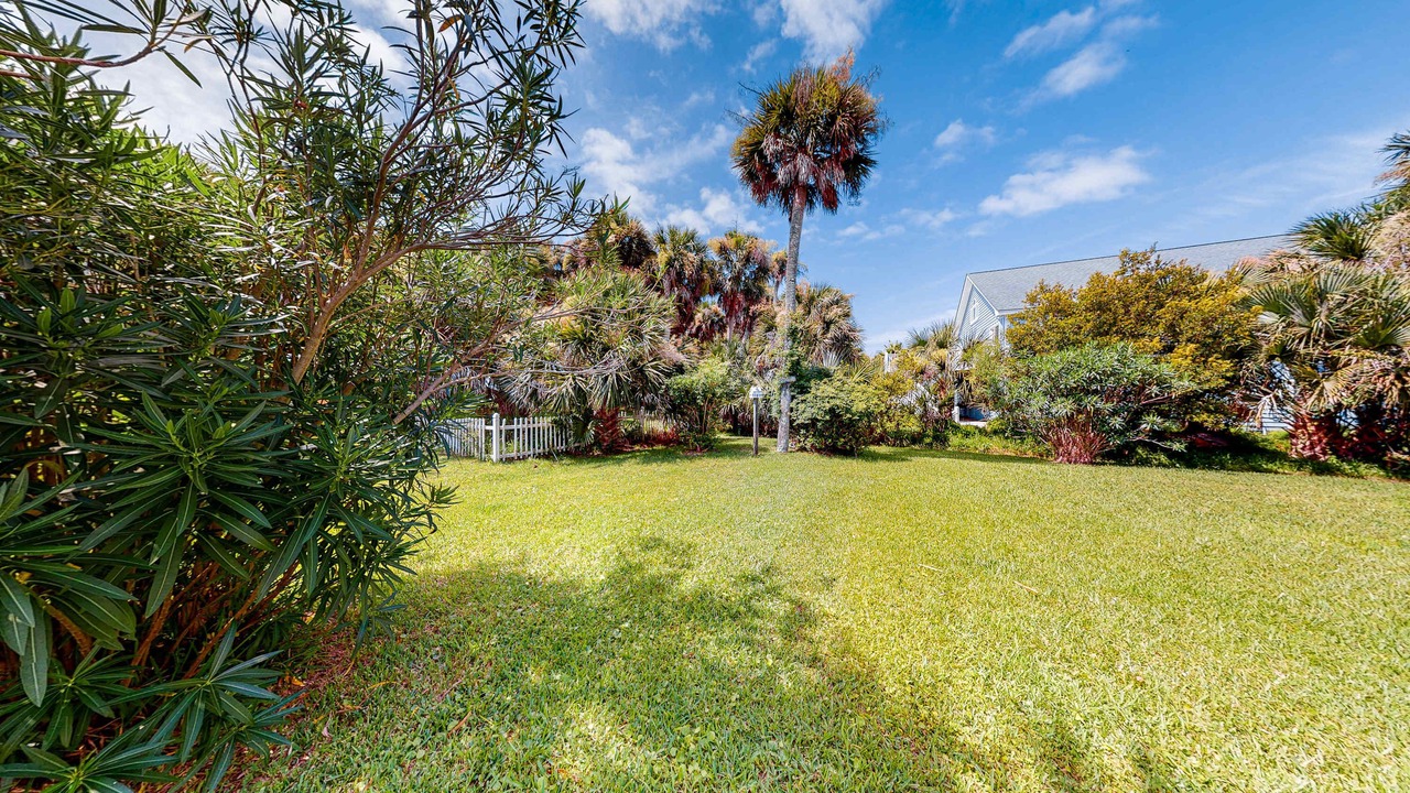 Photo of Outdoor in Edisto Island