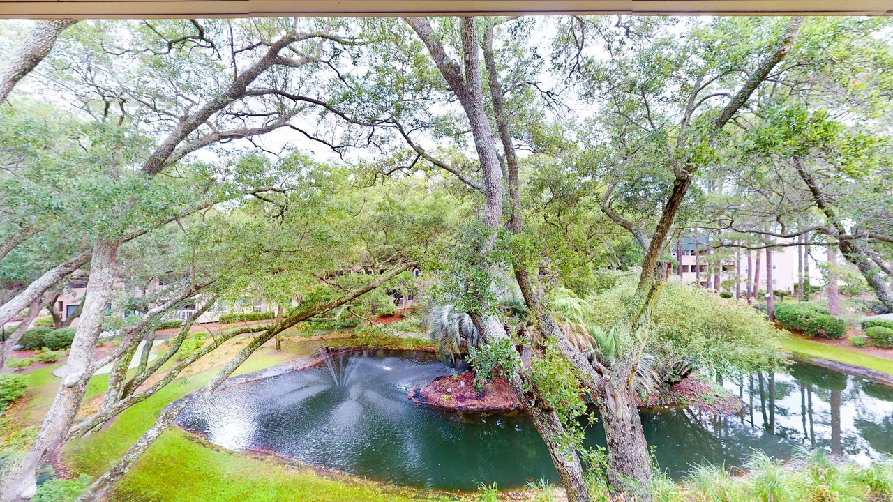 Photo of Outdoor in Palmetto Dunes