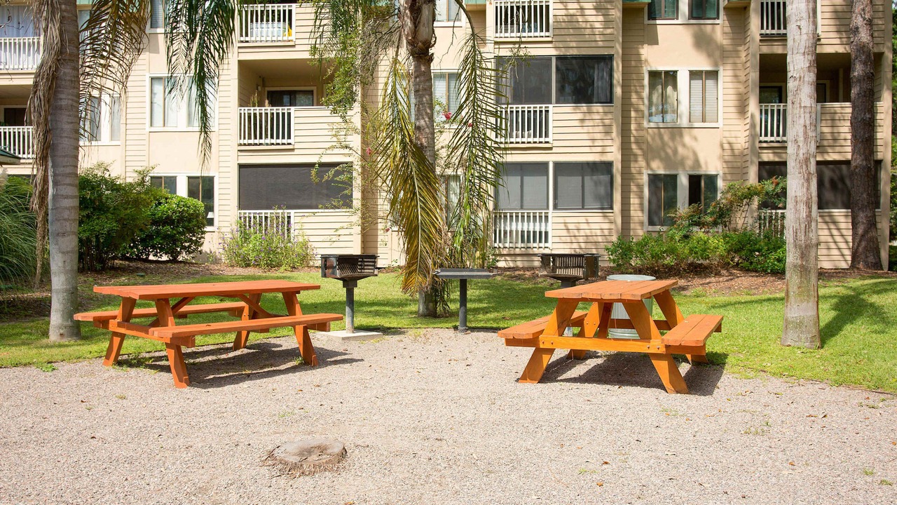 Photo of Outdoor in Palmetto Dunes
