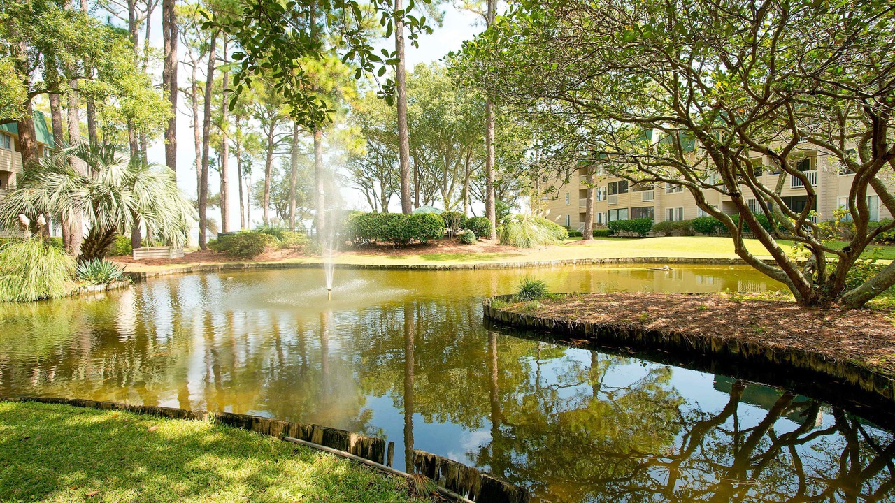 Photo of Outdoor in Palmetto Dunes