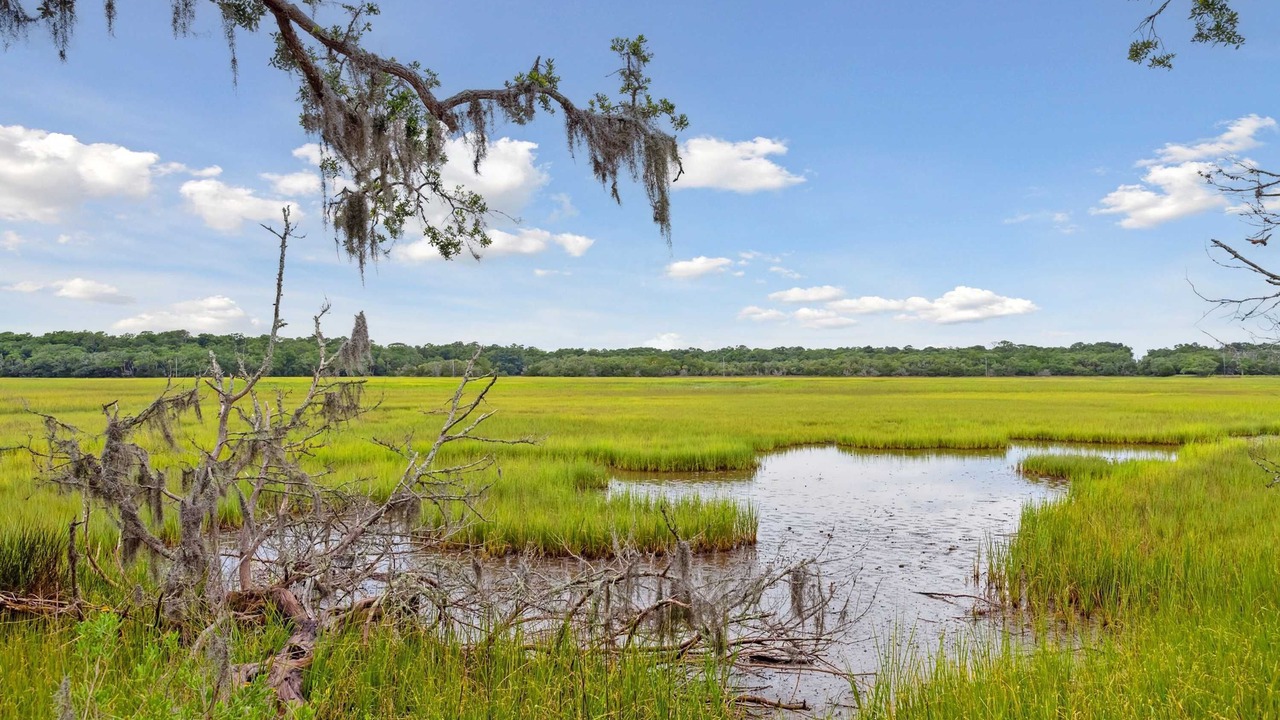 Photo of Others in Edisto Island