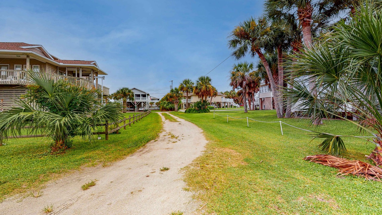 Photo of Outdoor in Edisto Island