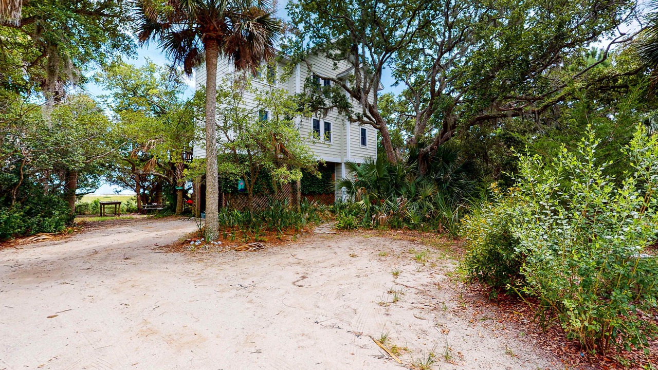 Photo of Outdoor in Edisto Island