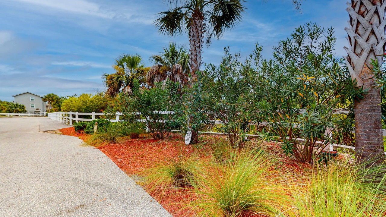 Photo of Outdoor in Edisto Island