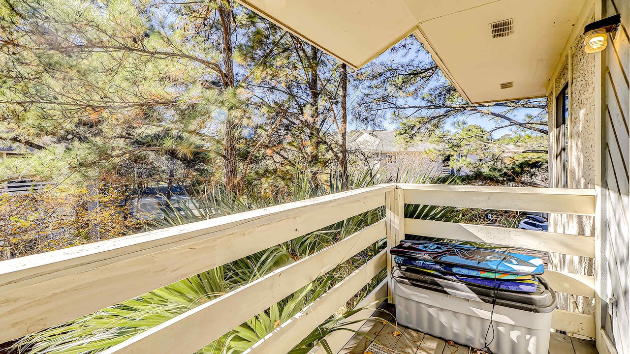Photo of Outdoor in Folly Field