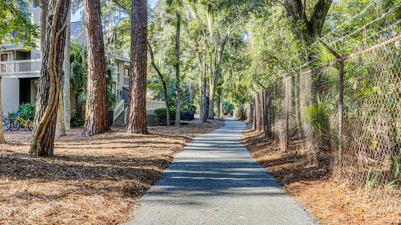 Photo of Outdoor in Shipyard Plantation