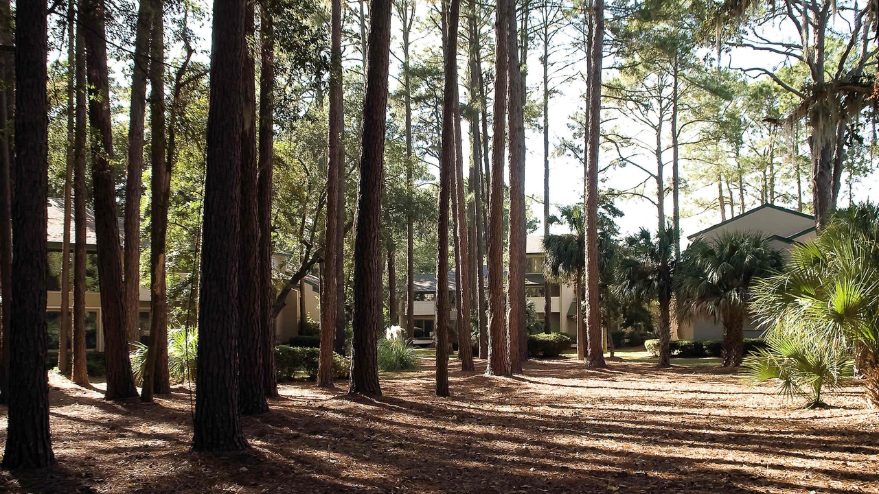 Photo of Outdoor in Sea Pines