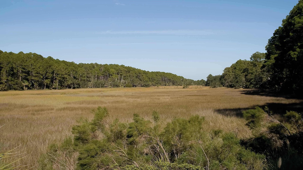 Photo of Others in Sea Pines
