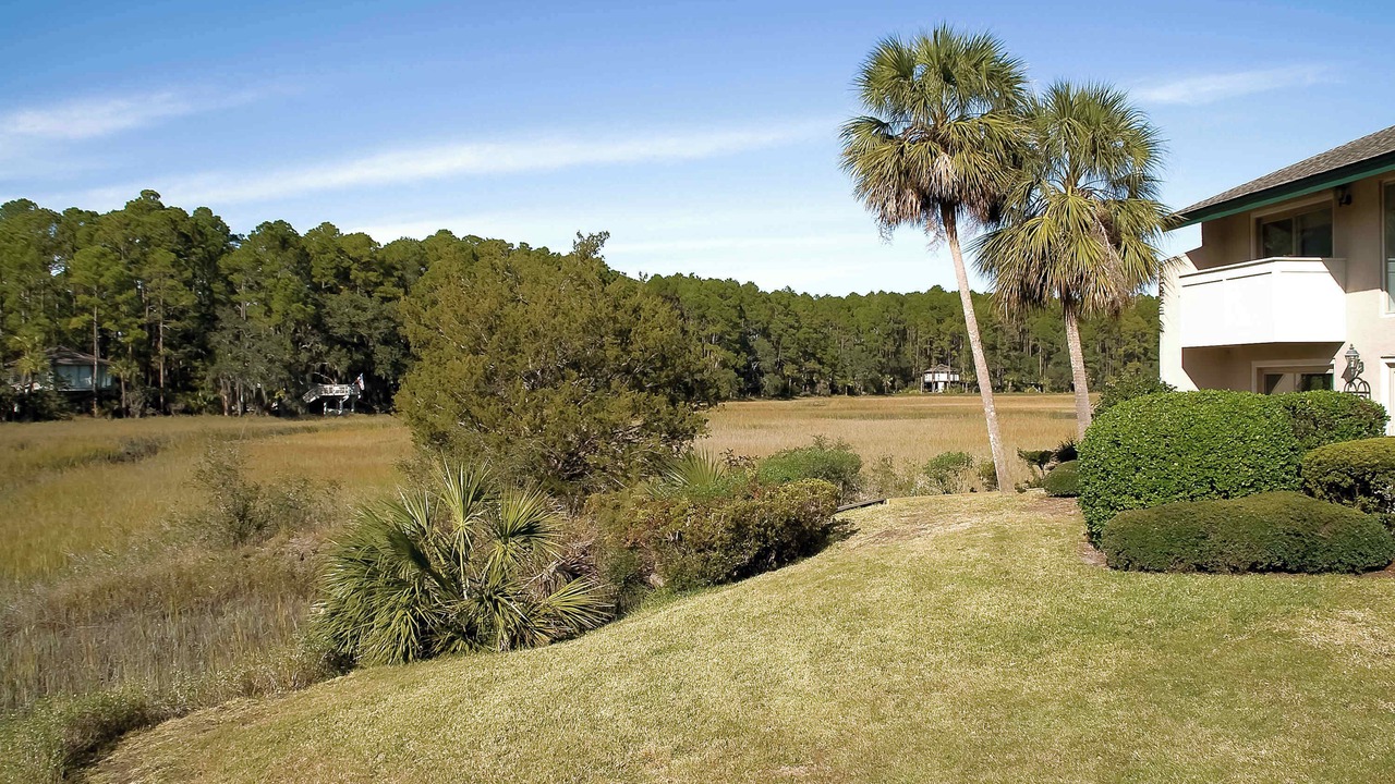 Photo of Outdoor in Sea Pines