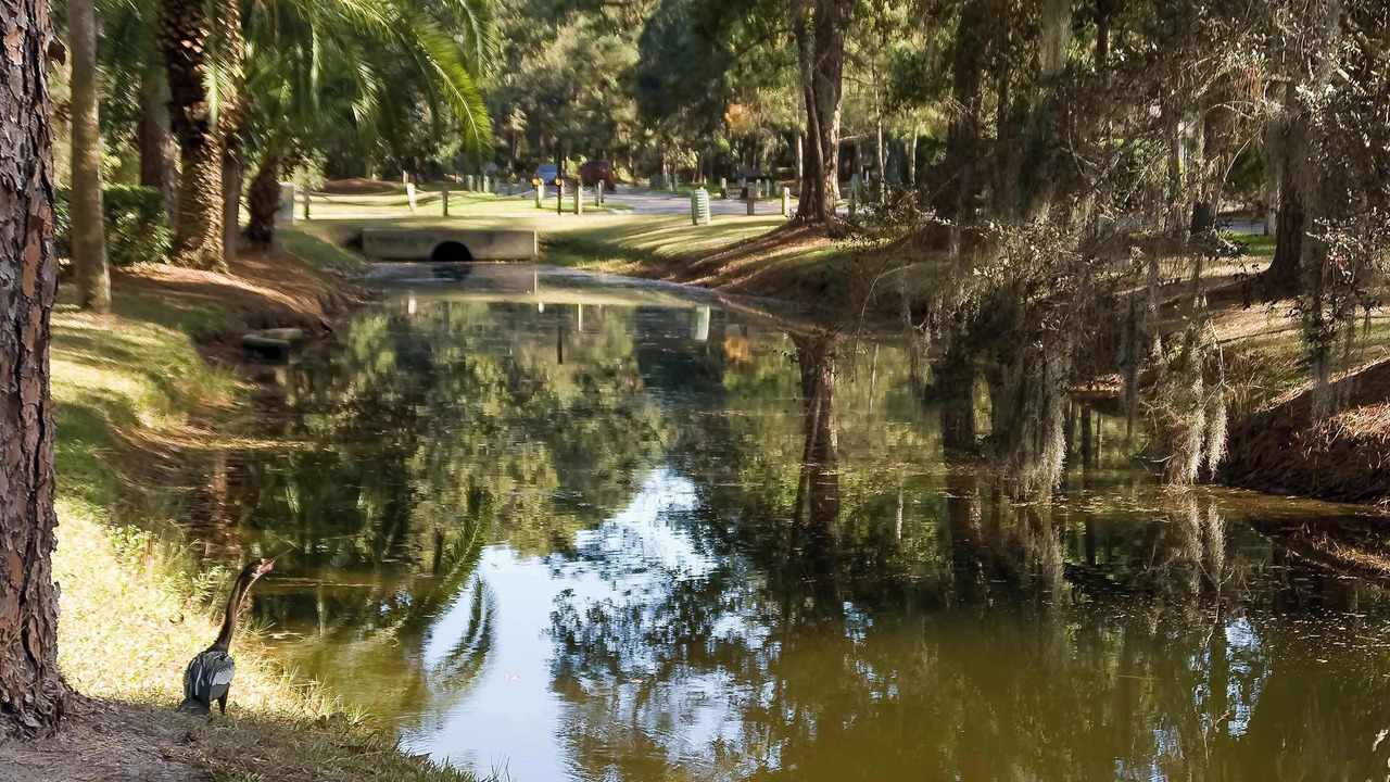 Photo of Others in Sea Pines