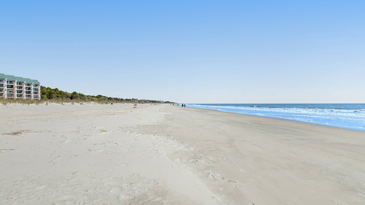 Photo of Others in Folly Field