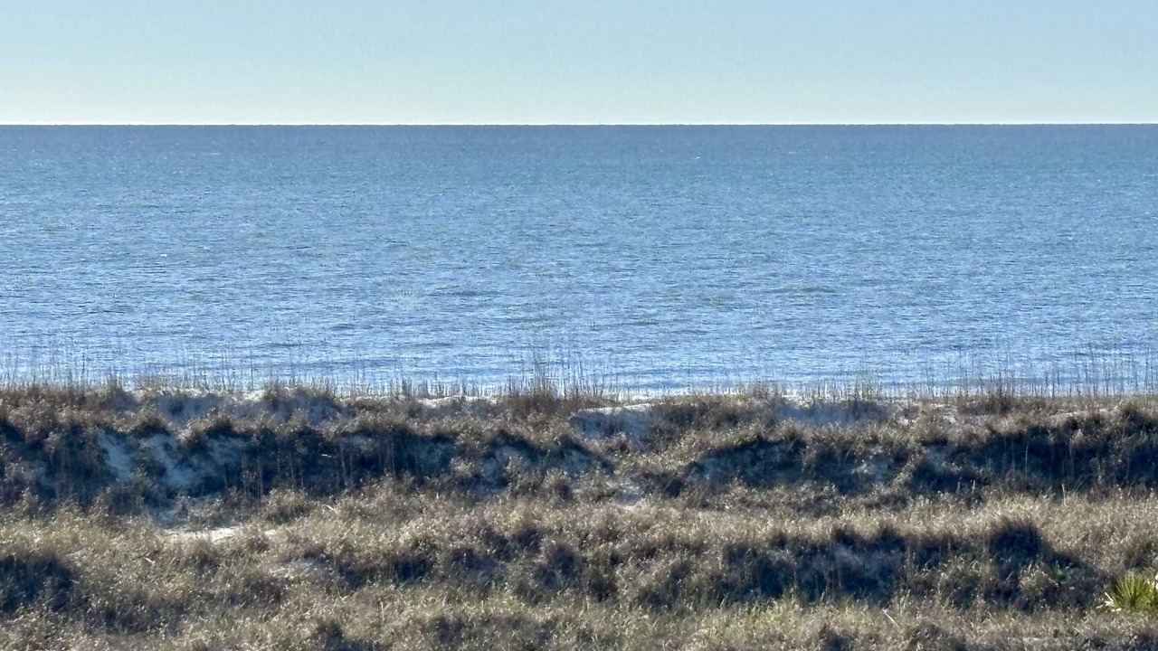 Photo of Others in Folly Field