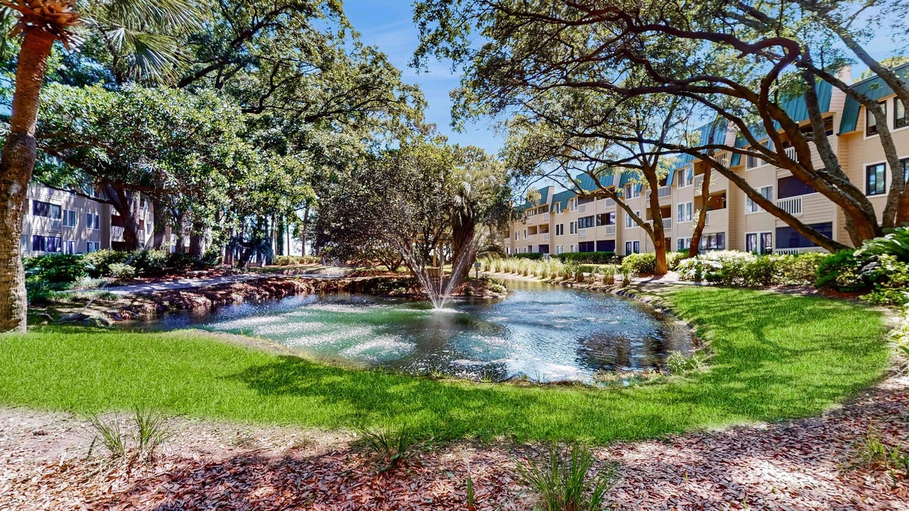 Photo of Outdoor in Palmetto Dunes
