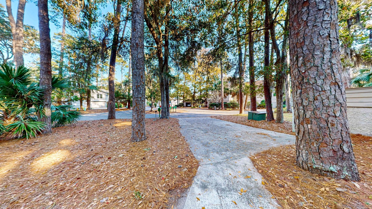 Photo of Outdoor in Lawton Woods