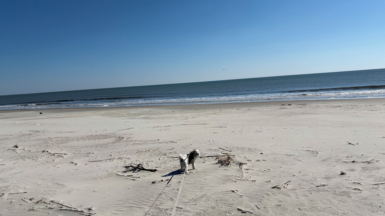 Photo of Others in Saint Helena Island