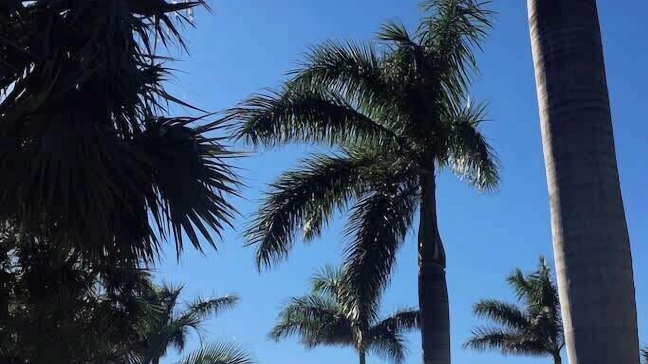 Photo of Others in Bradenton