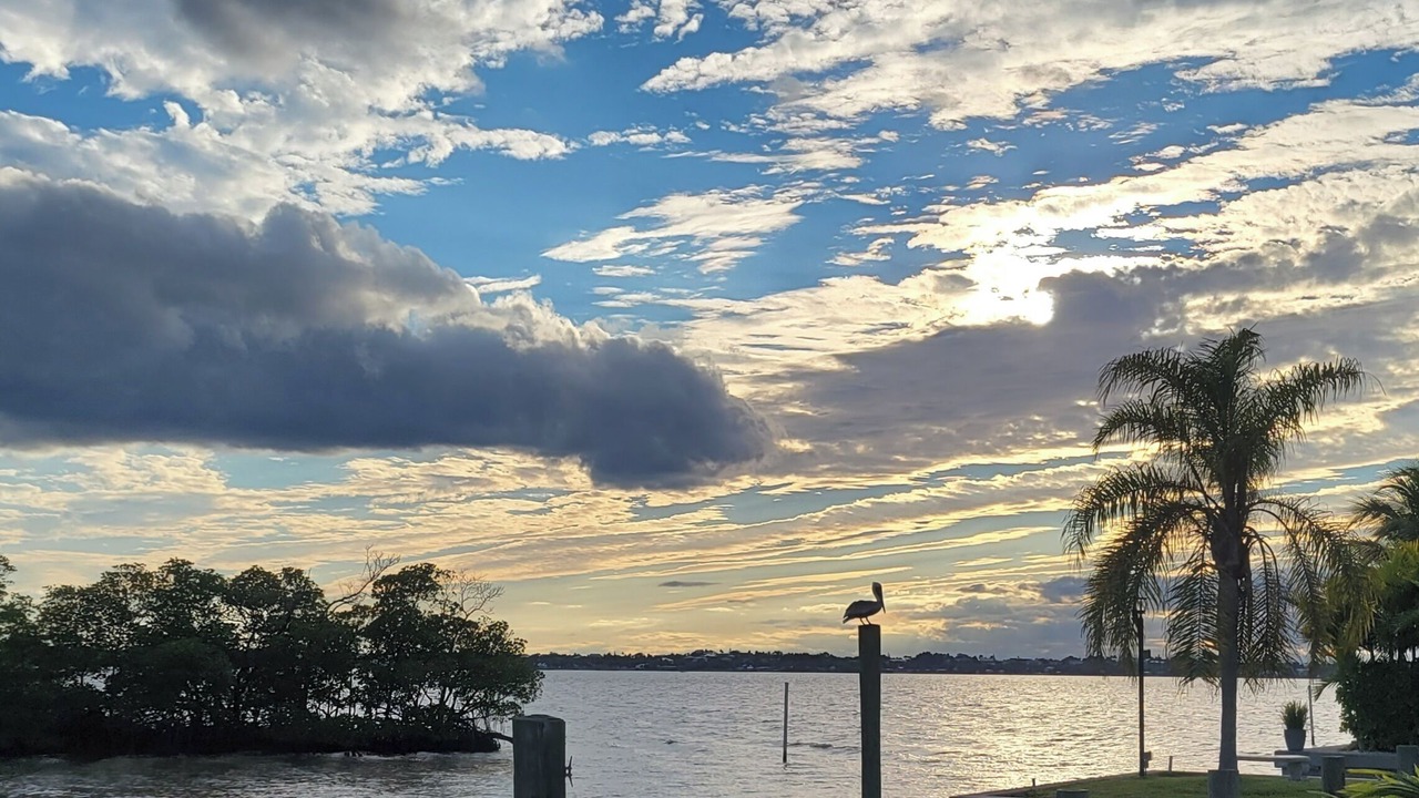 Photo of Others in Hutchinson Island South