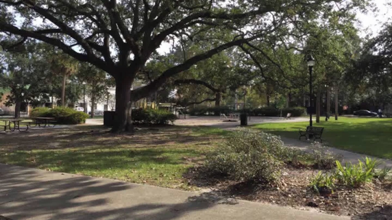 Photo of Outdoor in Dixon Park