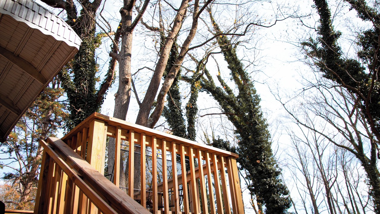 Photo of Outdoor in Spartanburg