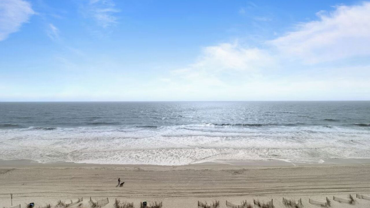 Photo of Others in Myrtle Beach