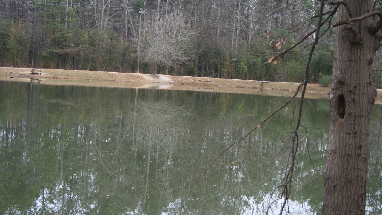 Photo of Others in Belton