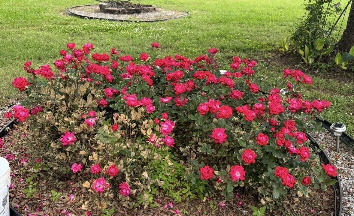 Photo of Outdoor in Flowery Branch