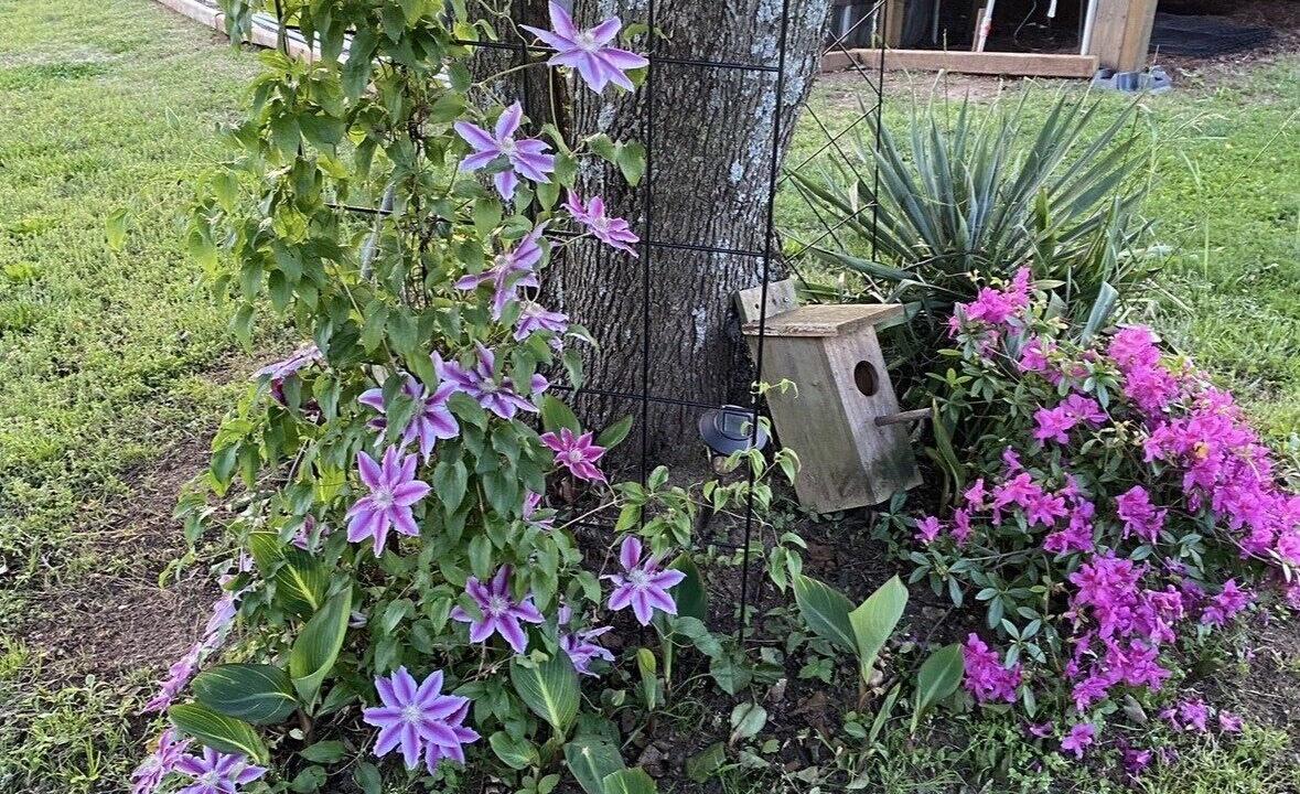 Photo of Outdoor in Flowery Branch