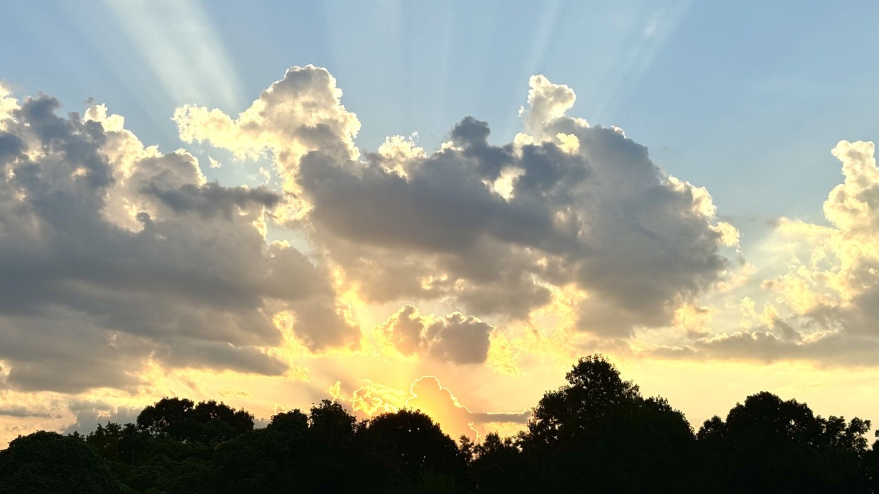 Photo of Others in Flowery Branch