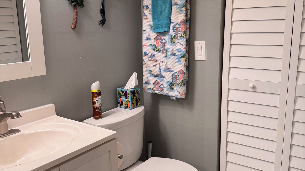 Photo of Bathroom in Melbourne Beach