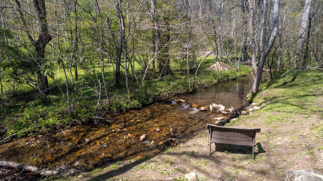Photo of Others in Tuckasegee