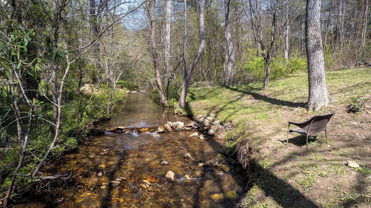 Photo of Others in Tuckasegee