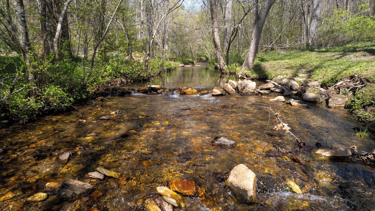 Photo of Others in Tuckasegee