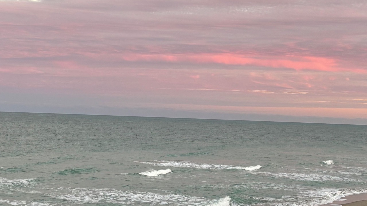 Photo of Others in Hutchinson Island South