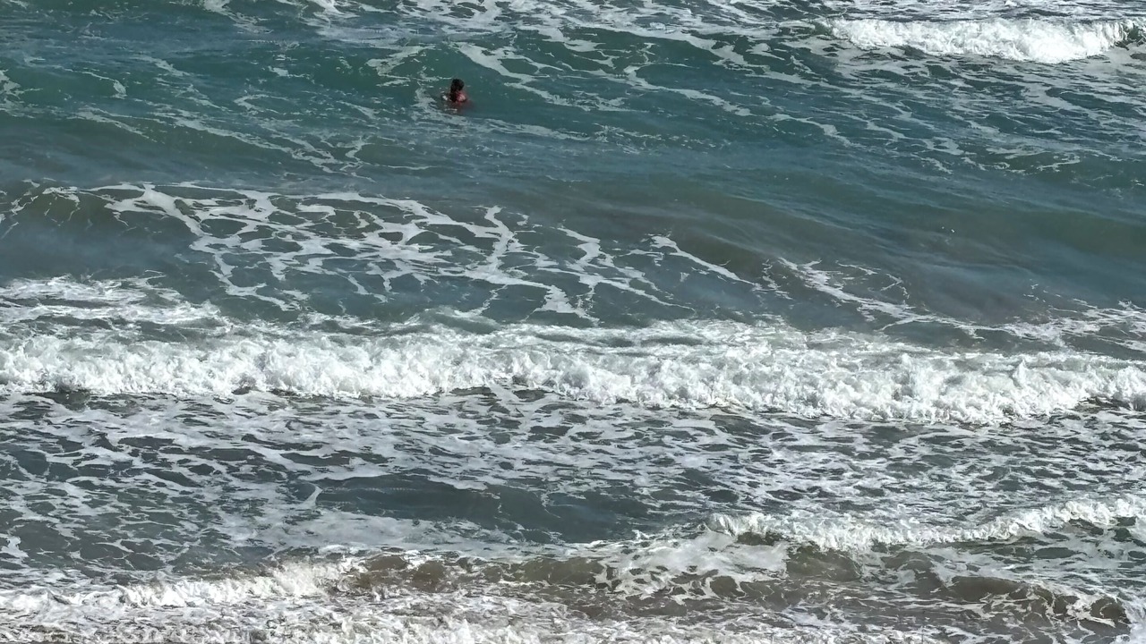 Photo of Others in Hutchinson Island South