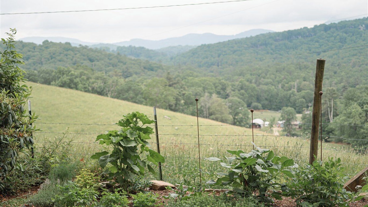 Photo of Outdoor in Cullowhee