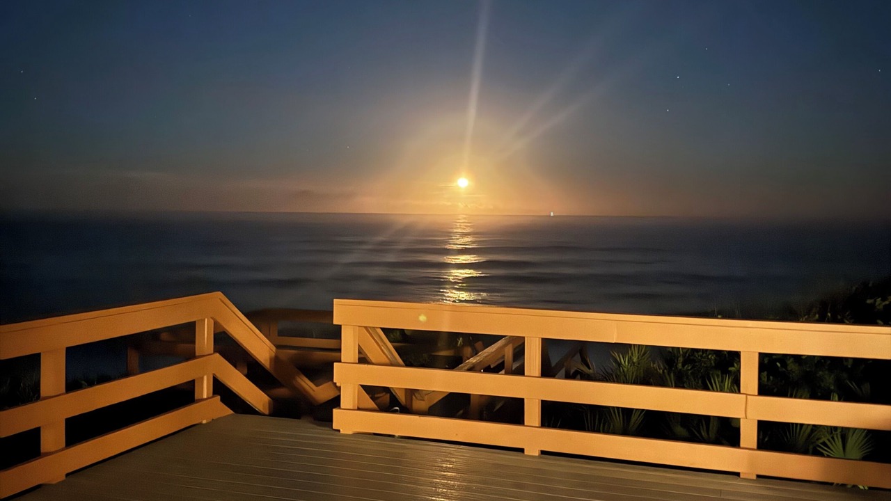 Photo of Outdoor in Melbourne Beach