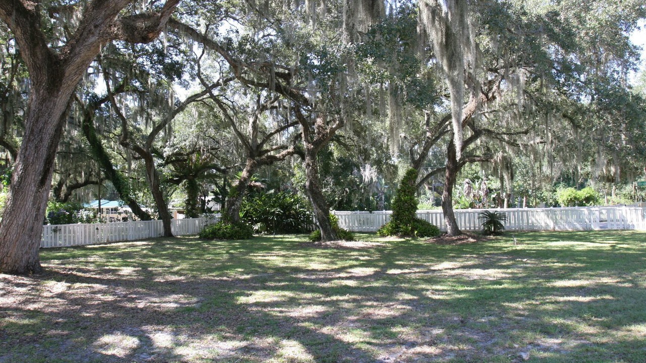 Photo of Outdoor in Fedhaven