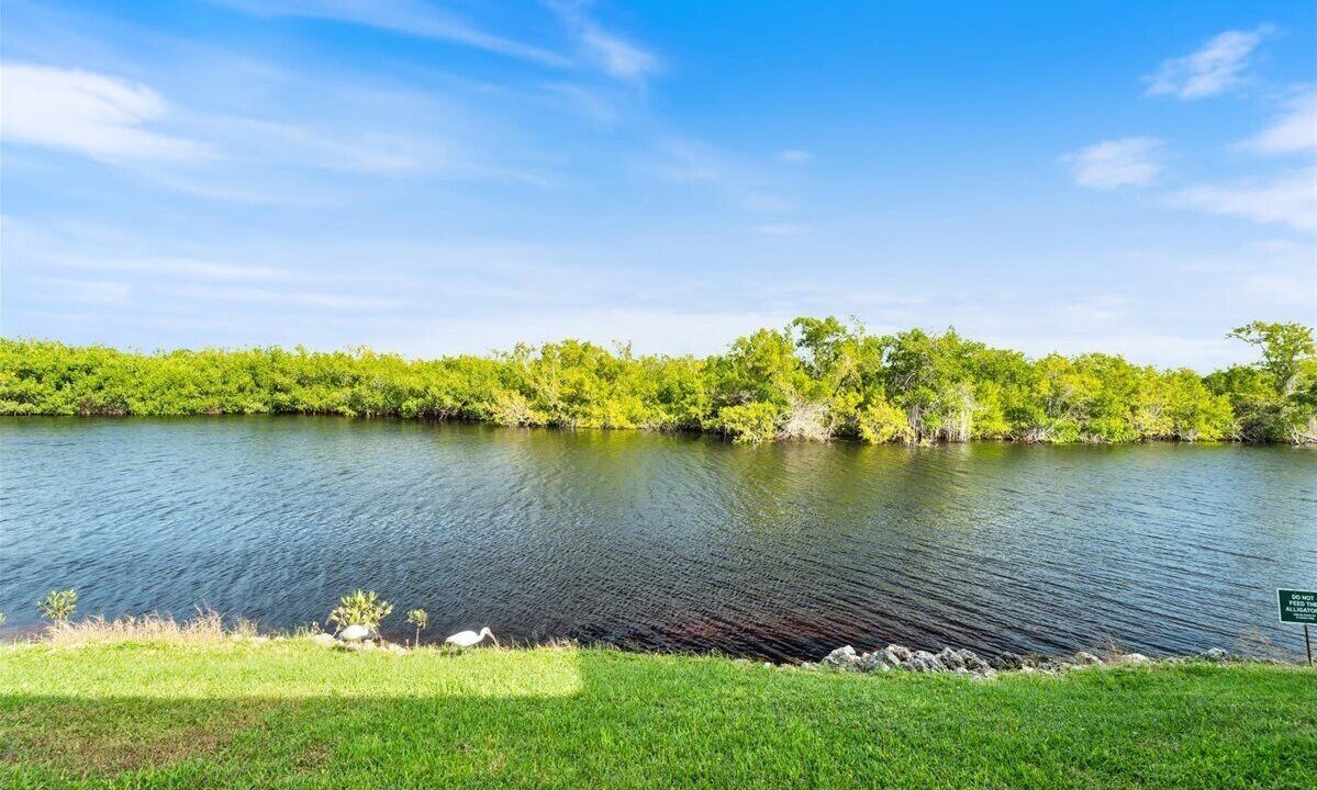 Photo of Others in Hammock Bay