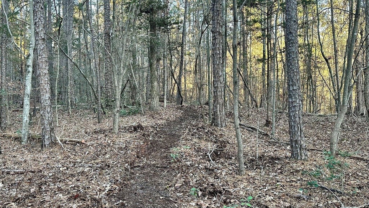 Photo of Outdoor in Elberton