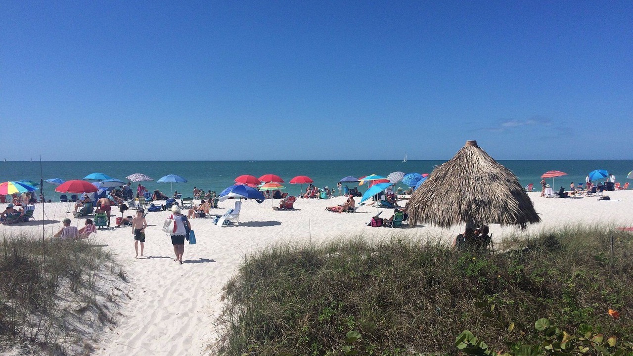 Photo of Others in East Naples