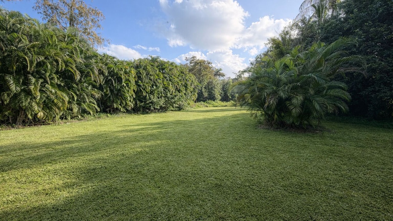 Photo of Outdoor in Naples