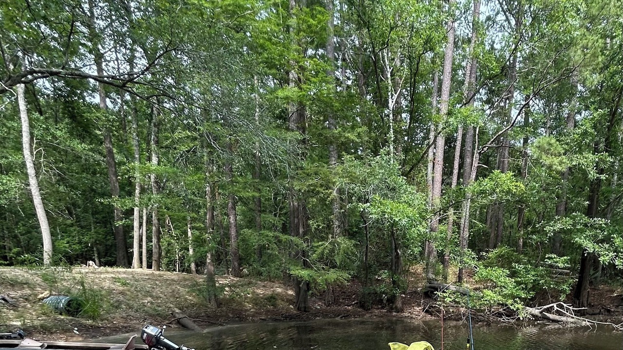 Photo of Others in Conway