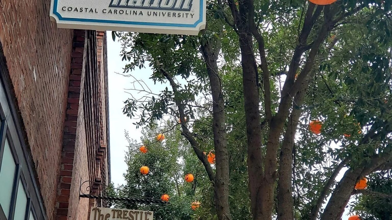 Photo of Outdoor in Conway
